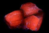 Large Vitreous Calcite Crystal Cluster - Fluorescent! #351777-2